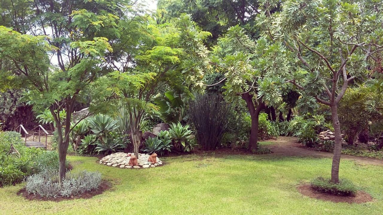 Beyond Cui Bono Guesthouse Addo Exterior foto